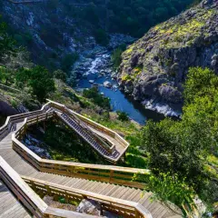Pasarela de madera serpentea por un barranco verde hasta el río Paiva. El puente Arouca ofrece vistas espectaculares.