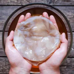 Twój SCOBY hotel: Jak przechowywać grzybek kombucha latami?