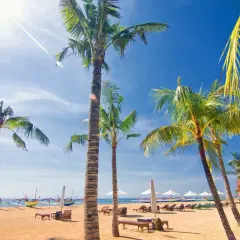 Solig strand i Sanur, Bali, med palmer, solstolar och traditionella balinesiska båtar.