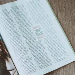 Artykuł angielski matura: Tess Holliday o trudnych doświadczeniach, walce z depresją i ruchu #MeToo.