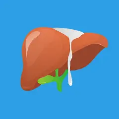 AST: Wyniki, normy, przyczyny podwyższonego. Kiedy wątroba potrzebuje pomocy?