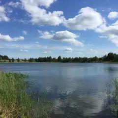 Spokojne jezioro Czarna Hańcza otoczone zielenią, z puszystymi chmurami na błękitnym niebie.