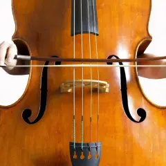 Mains tenant un archet sur les cordes d'un magnifique contrebasse instrument, prêt à jouer une mélodie profonde.