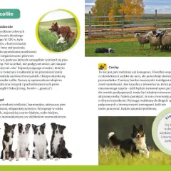 Atlas psów dla dzieci: Książki i aplikacje wybierz najlepszy!