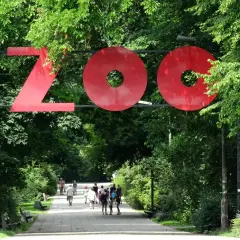 Duże czerwone litery "ZOO" nad alejką w zielonym parku. Ludzie spacerują, ciesząc się dniem w zoo w Polsce.
