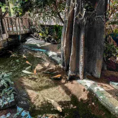 Tropicarium w Budapeszcie - Niezapomniane atrakcje i ceny biletów