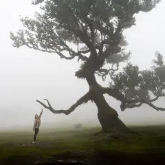 A woman reaches up to a gnarled, moss-covered tree in the misty Fanal forest.