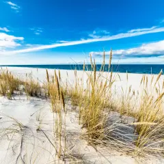 Piasek, trawy morskie i błękitne niebo nad Bałtykiem – to jedne z najpiękniejszych plaż w Polsce.