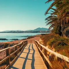 Pasarela de madera hacia paradisíacas playas de Murcia, con palmeras y el mar azul.