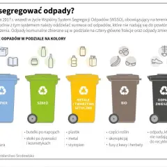 Koszyk wiklinowy: Gdzie wyrzucić? Segregacja i drugie życie.