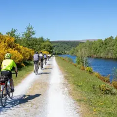 A group enjoys cycling in Scotland along a canal path, with bright yellow gorse bushes and lush green trees lining the route.