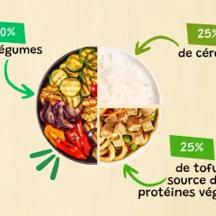 Un bol divisé en quatre : légumes grillés, riz, et tofu, une excellente source de protéines végétales.