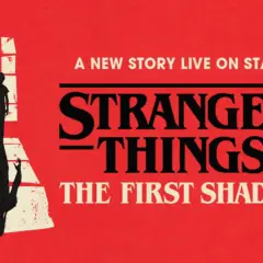 En silhuett av ett barn står framför ett fönster, dess skugga sträcker sig ut med uppsträckta händer. Texten "Stranger Things The First Shadow" syns tydligt.