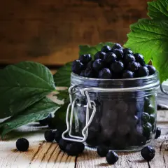 Słoik pełen świeżych, ciemnych owoców aronii, gotowych na pyszny dżem z aronii mrożonej. Liście aronii dodają uroku.