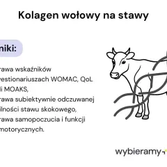 Kolagen wołowy na stawy poprawia wskaźniki, stabilność stawów i samopoczucie. Dowiedz się, co to jest kolagen.