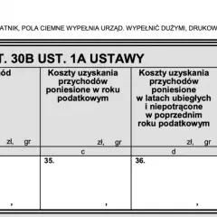 Fragment formularza podatkowego PIT z nagłówkami: "Źródło przychodów", "Przychód", "Koszty uzyskania przychodów", "Dochód".