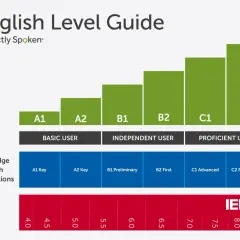Przewodnik po poziomach angielskiego: od A1 do C2. Obejmuje CEFR, Cambridge English i IELTS. Poziomy B1 i B2 to kluczowe etapy nauki.