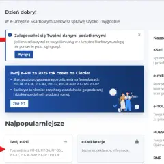 Z menu po lewej wybierz "Twój e-PIT", aby rozliczyć PIT-28, PIT-36, PIT-36L, PIT-37, PIT-38, PIT-OP i PIT-DZ.