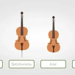  Kontrabas a wiolonczela - podobieństwa i różnice tych instrumentów smyczkowych