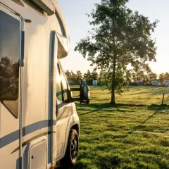 Un camping-car est garé dans une aire de camping-car, avec d'autres véhicules et un arbre au soleil levant.