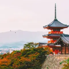 Widok na tradycyjne pagody i dachy w jednym z miast w Japonii, z rozległą panoramą zabudowań w tle.