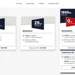 Oferty Virgin Mobile: #MINI9 (1GB, 300 min/SMS za 9 zł), #GIGADAJE (15GB za 25 zł), #GIGAMAKS (30GB za 0 zł/miesiąc, potem 30 zł). To jest prepaid.