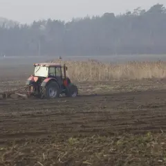 Czerwony traktor wykonuje wałowanie na zaoranym polu. W tle las i trzciny.