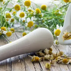Mörser mit getrockneten Kamillenblüten und frischen Kamillenblüten im Hintergrund. Die beruhigende kamillentee wirkung wird hier bildlich dargestellt.