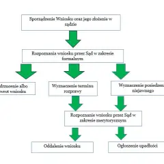 Co sprawdza sąd w upadłości konsumenckiej? Kluczowe aspekty analizy