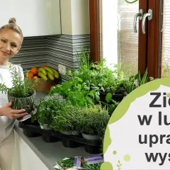 Jak uprawiać zioła w domu - proste sposoby na świeże przyprawy