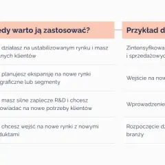 Tabela przedstawia strategie rozwoju firmy: penetracja rynku, rozwój rynku, rozwój produktu, dywersyfikacja. Opisuje, kiedy warto je zastosować i podaje przykłady działań. To wizja, co to za strategie.