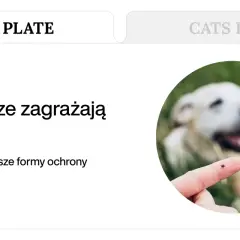 Kleszcz na palcu, w tle rozmyty pies. Dowiedz się, co na kleszcze dla psa jest najskuteczniejsze.