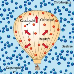 Cyce jak balony - co naprawdę oznacza ten slang i jego kontekst?