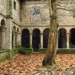 Claustro de piedra cubierto de musgo, con arcos y columnas, rodeado de hojas secas. Un árbol solitario se alza en primer plano, evocando la atmósfera de los monasterios de Galicia.