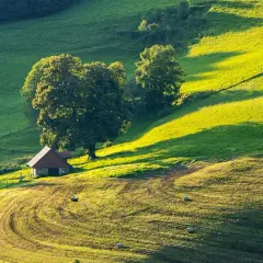 Malownicza działka siedliskowa z małym domkiem i drzewami na tle zielonych wzgórz oświetlonych słońcem.