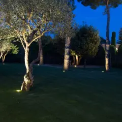 Jardín iluminado por la noche, con árboles y césped verde. Las luces, con protección **IP65**, resaltan la vegetación y crean un ambiente mágico.