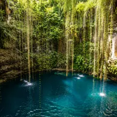 El **cenote Ik Kil** es un oasis natural con aguas turquesas rodeado de vegetación exuberante y lianas colgantes.