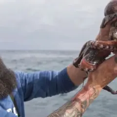Pescador con pulpo recién capturado en el mar.