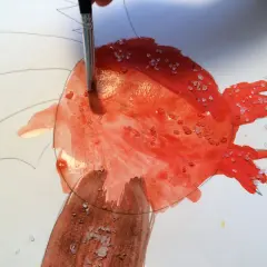 Ein Pinsel trägt rote Farbe auf, während grobes Salz auf dem nassen Aquarellpapier liegt. Diese Salz-Bilder entstehen durch die Reaktion von Salz und Farbe.