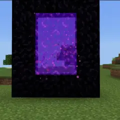 Portal do Netheru, który prowadzi do różnych biomy w netherze. Obok znak "TO THE NETHER!!!".