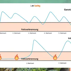 Grafik zeigt Insulinspiegel bei ganztägigem Essen vs. Intervallfasten. Längere Phasen ohne Essen fördern die Fettverbrennung.