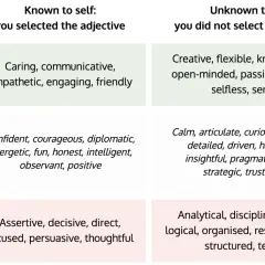 Johari window example showing traits known to self vs. unknown, and selected by others vs. not.