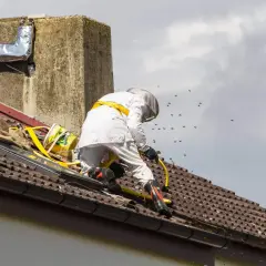 Osoba w stroju pszczelarskim usuwa gniazdo os z dachu. Wokół latają osy.