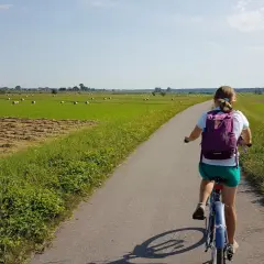 Trasa rowerowa Niepołomice: najlepsze szlaki dla każdego rowerzysty