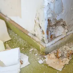 Beschädigte Ecke mit abblätternder Farbe und Putz. Der Teppich ist mit Staub und Putzresten bedeckt. Hier zeigt sich, was kapillar bedeutet: Feuchtigkeit zieht durch kleinste Risse.
