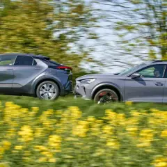 Dwa szare samochody, Toyota i Cupra, pędzą przez kwitnące pole rzepaku.