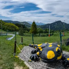 Pieniny: Bacówka pod Trzema Koronami czy to idealna baza wypadowa?