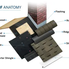 Diagram showing roof anatomy, detailing layers like plywood, underlayment, and what is a shingle roof, with labels for flashing, ridge cap, and drip edge.