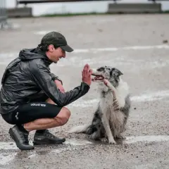 Trener daje piątkę swojemu psu do biegania po treningu w deszczu.