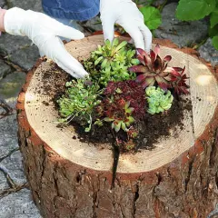 Jak zbudować drewniany kwietnik? Kompletny poradnik DIY